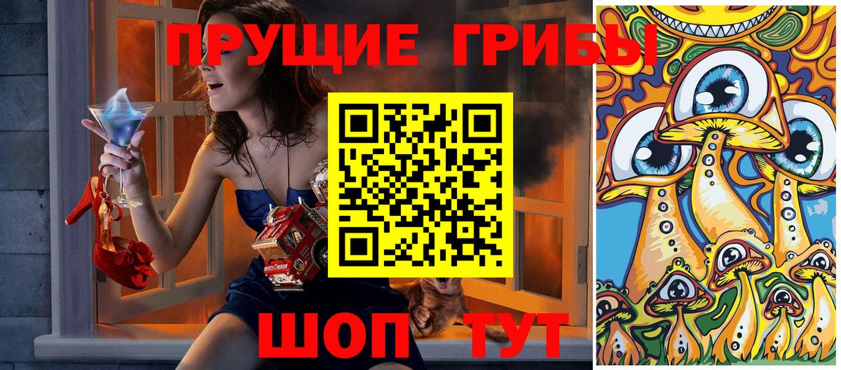 Волгодонск  Псилоцибиновые грибы прущие грибы  Псилоцибиновые грибы GOLDEN TEACHER  продажа наркотиков  Вход с VPN 